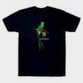 Unisexs Camiseta manga corta negra logo Quetzal